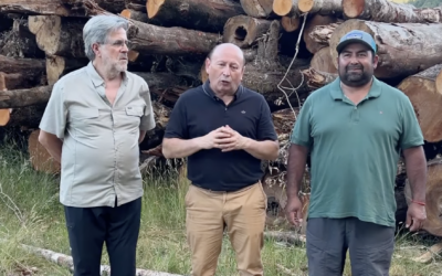 Adultos mayores de Paillahuinte recibirán metros de leña gracias a gestión municipal